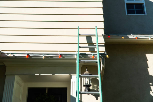 Best Fascia and Soffit Installation  in Eagar, AZ