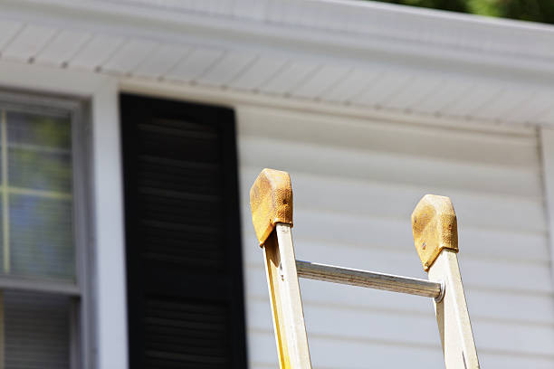 Best Historical Building Siding Restoration  in Eagar, AZ